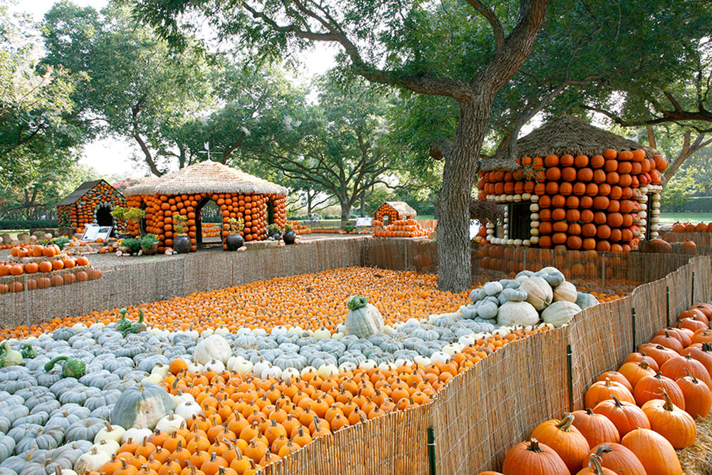 Autumn at the Arboretum