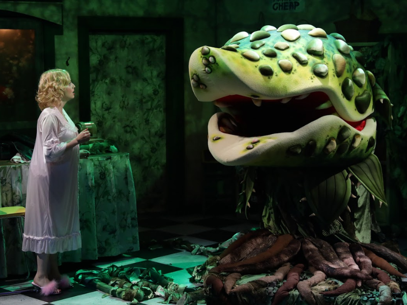 Little Shop of Horrors - Photo Courtesy of the Majestic Theatre