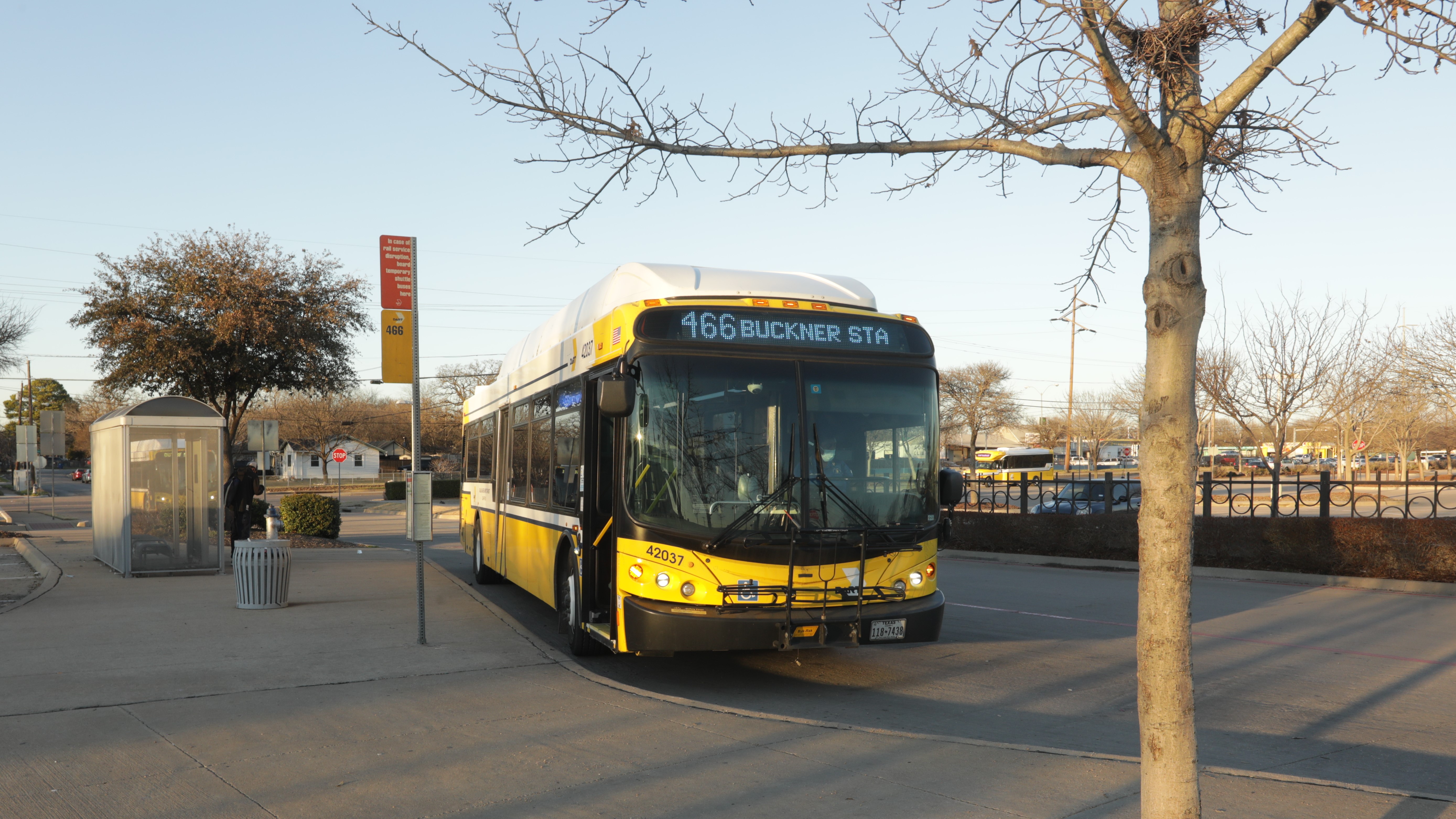 DARTzoom Bus Network Redesign